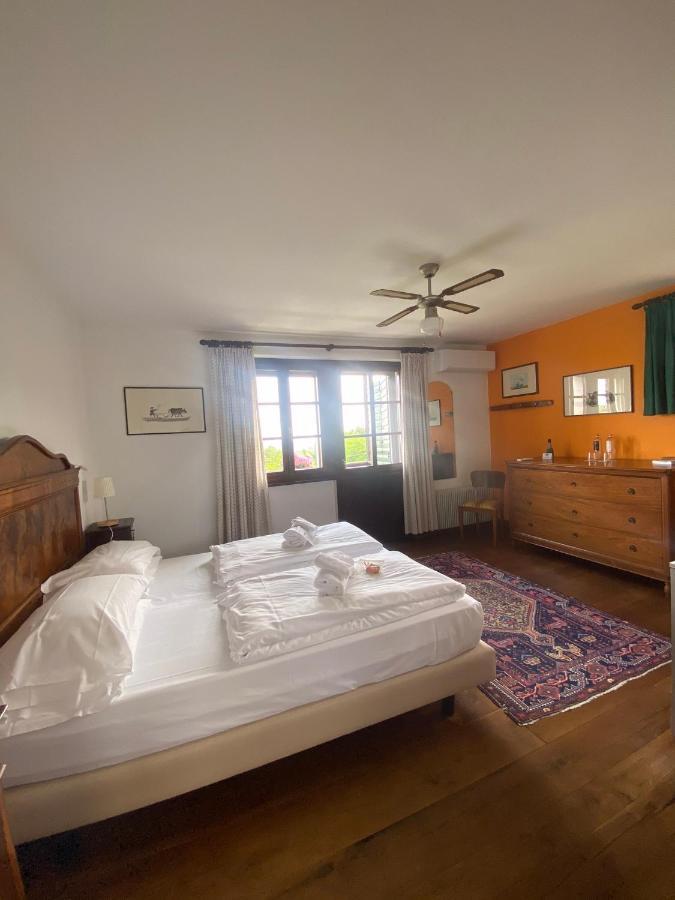 Agriturismo Scacciapensieri Buttrio Kültér fotó