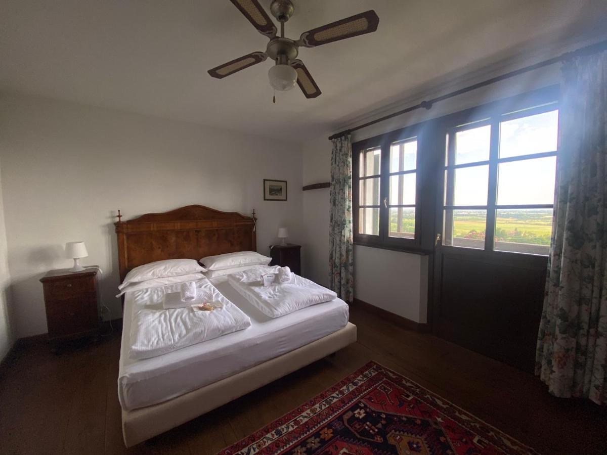 Agriturismo Scacciapensieri Buttrio Kültér fotó